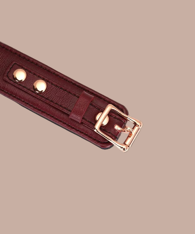 Liebe Seele Luxury Leather Collar with Leash and Lock – Wine Red