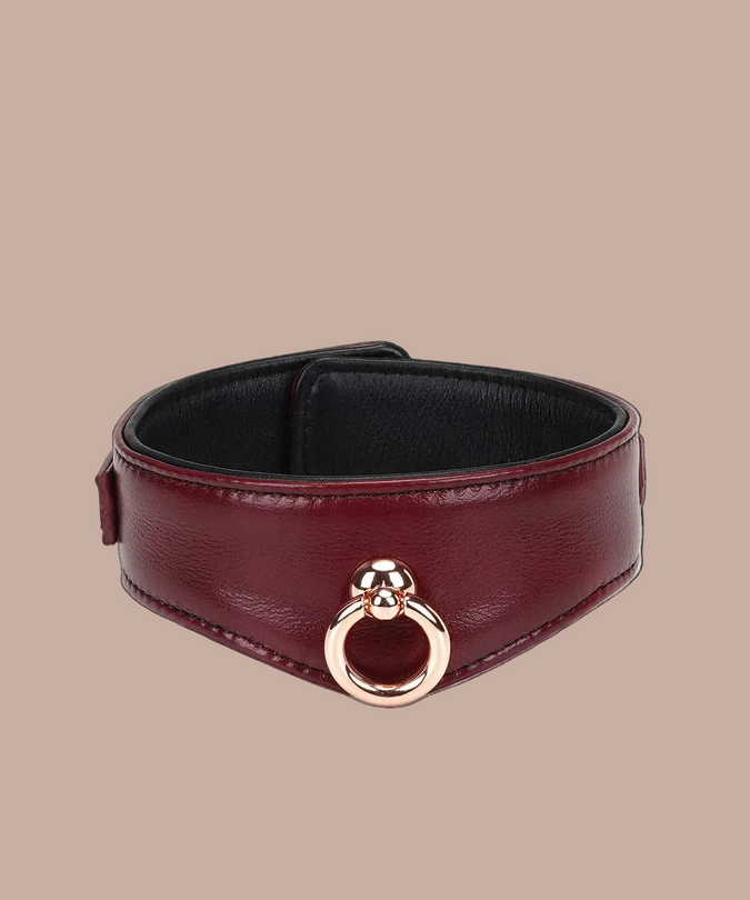 Liebe Seele Luxury Leather Collar with Leash and Lock – Wine Red