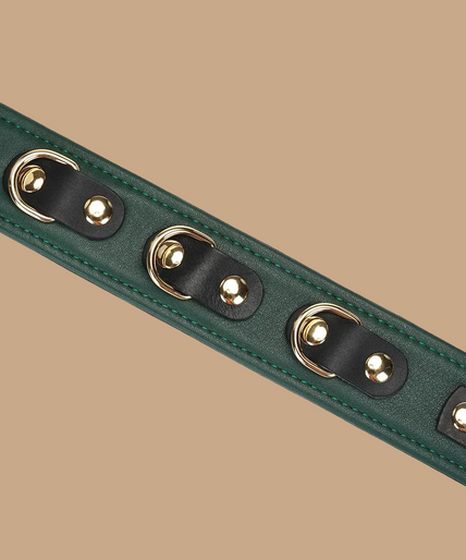 Liebe Seele Mossy Chic Leather Collar with Leash – Green Liebe Seele Mossy Chic Leather Collar with Leash – Green