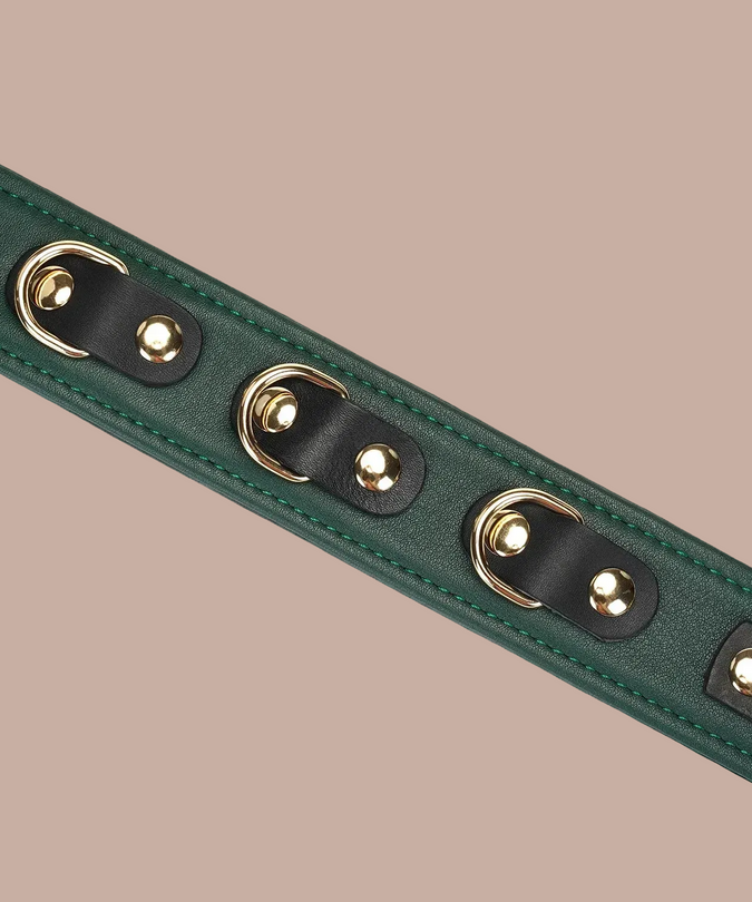Liebe Seele Cow Leather Collar with Leash – Mossy Chic Green