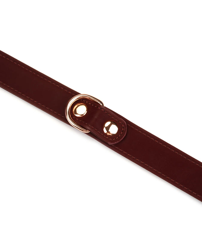 Lieve Ziel – Metallic Shade Vegan Halsband met Tepelklemmen