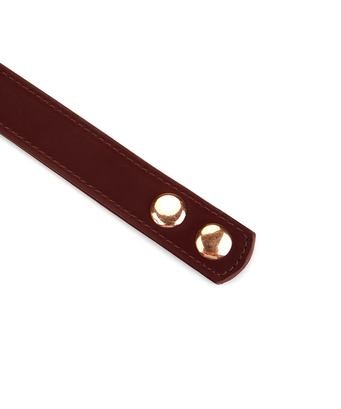 Lieve Ziel – Metallic Shade Vegan Halsband met Tepelklemmen