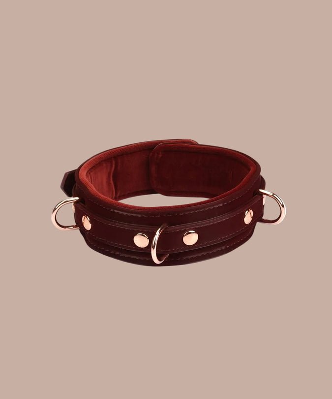 Liebe Seele – Metallic Shade Vegan Collar with Leash