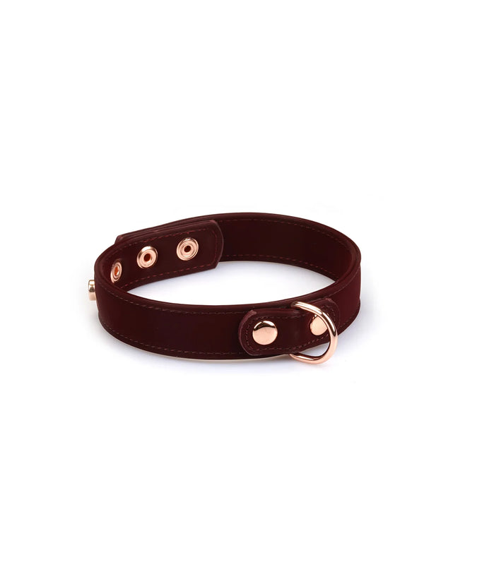 Lieve Ziel – Metallic Shade Vegan Halsband met Tepelklemmen