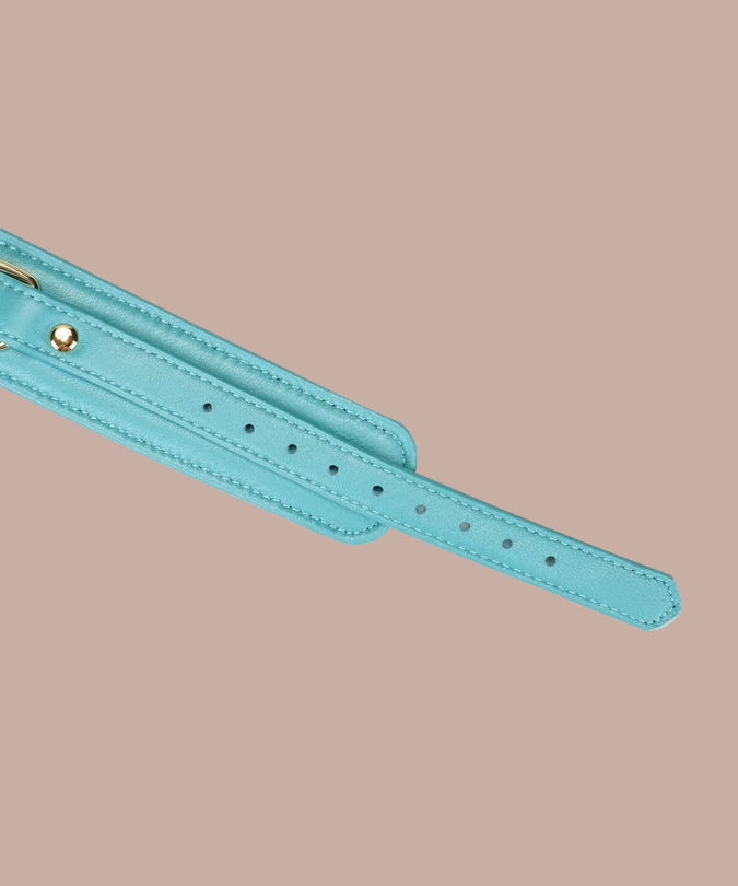 Liebe Seele Siren's Cove Lams leder Halsband met Fluweel Voering en Riem – Blauw