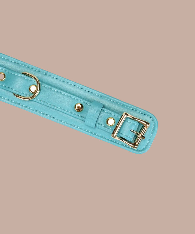 Liebe Seele Siren's Cove Lams leder Halsband met Fluweel Voering en Riem – Blauw