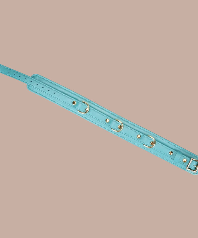 Liebe Seele Siren's Cove Lams leder Halsband met Fluweel Voering en Riem – Blauw