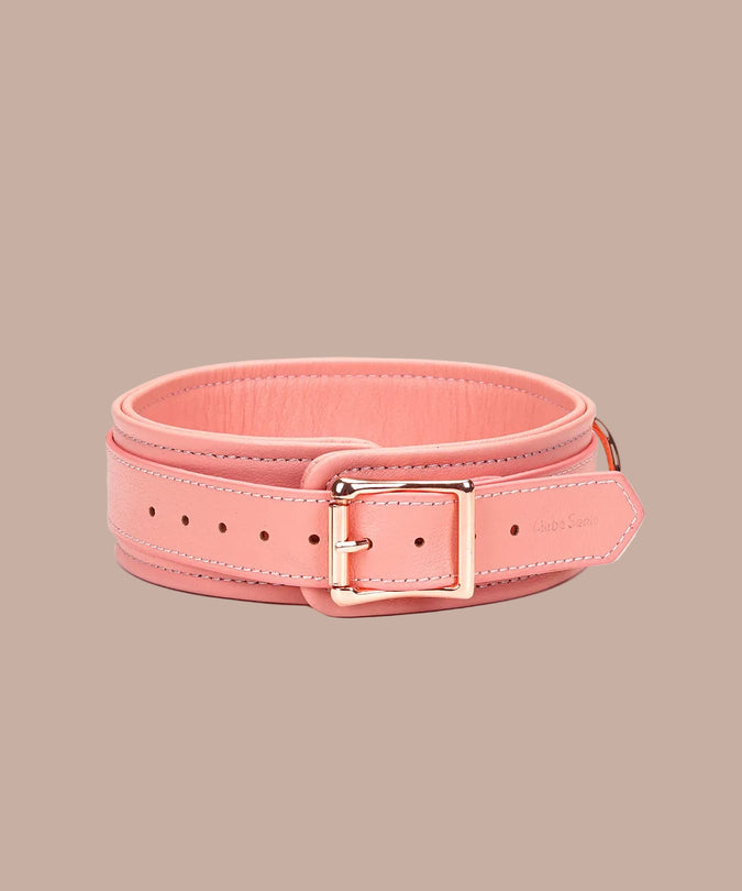 Liebe Seele Pink Dream Collar and Leash – Pink