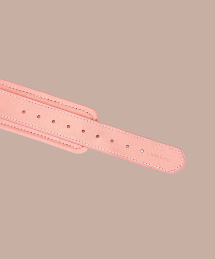 Liebe Seele Pink Dream Collar and Leash – Pink Liebe Seele Pink Dream Collar and Leash – Pink