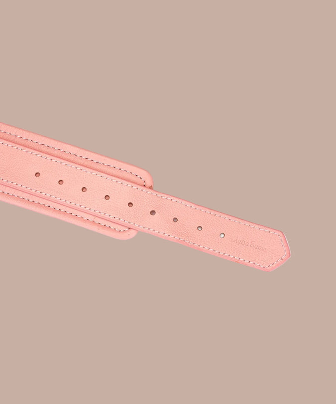 Liebe Seele Pink Dream Collar and Leash – Pink