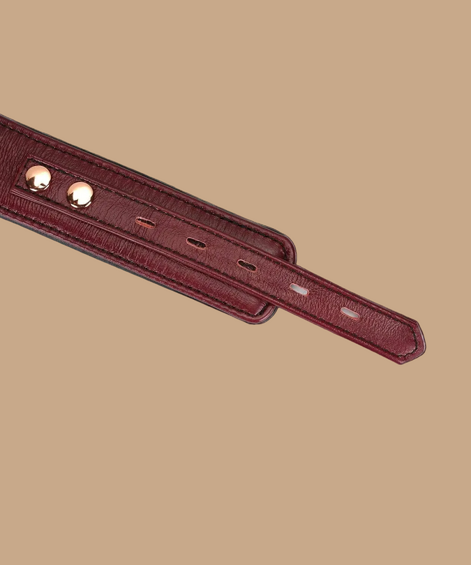 Liebe Seele Luxury Leather Collar with Leash and Lock – Wine Red