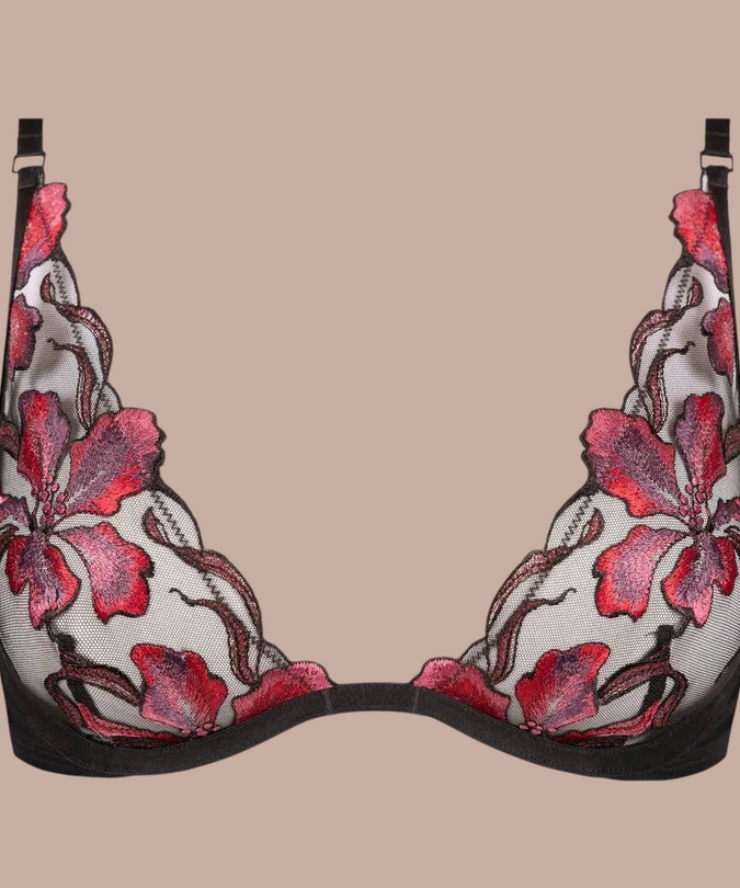 Dernier Frisson Wired Triangle Bra with embroidered sheer cups, front product view.