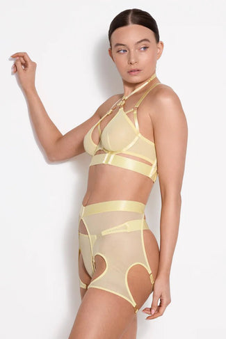 Bordelle Cadi Bodice Bra Lemon Bordelle Cadi Bodice Bra Lemon - Pleasurements