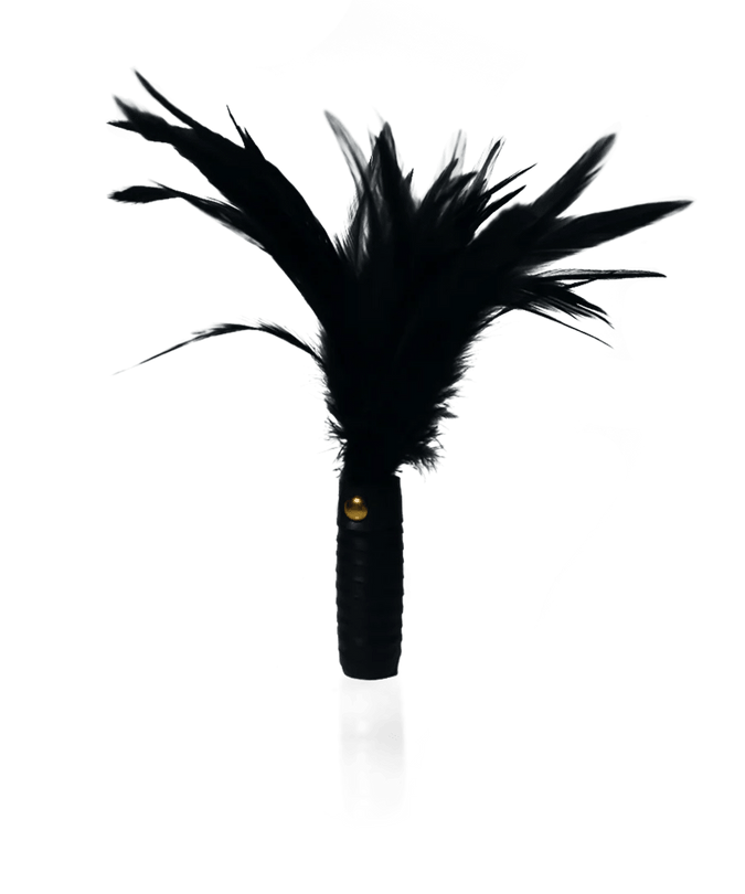 Coco de Mer Black Leather Feather Tickler - Pleasurements