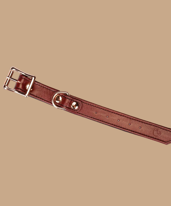 Liebe Seele Leather Collar and Wrist Cuff Harness Set – Wine Red