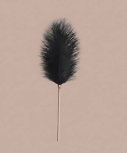 Liebe Seele Luxury Ostrich Feather Tickler – Black with Gold Handle Liebe Seele Luxury Ostrich Feather Tickler – Black with Gold Handle