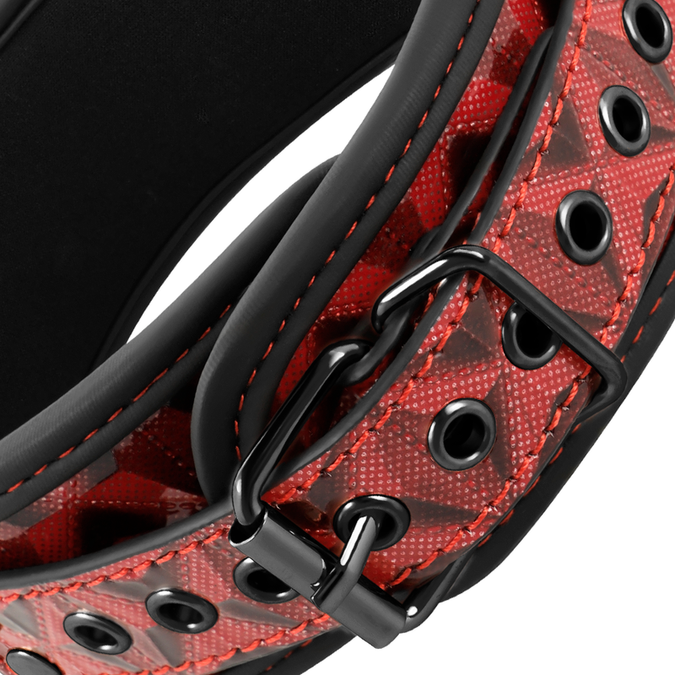 BEGME - RODE EDITIE HALSBAND MET NIPPELKLEMMEN MET NEOPREEN VOERING