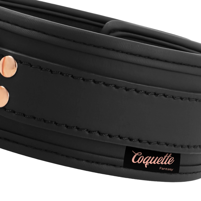 Coquette Chic Desire – Fantasy Vegan Leather Collar with Neoprene Lining