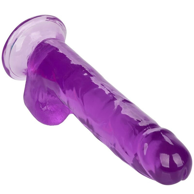 Calexotics – Size Queen Dildo Purple 20.3 cm