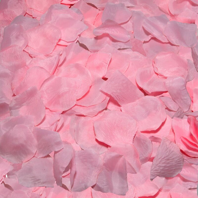 Diablo Picante – 100 Pinke Blütenblätter