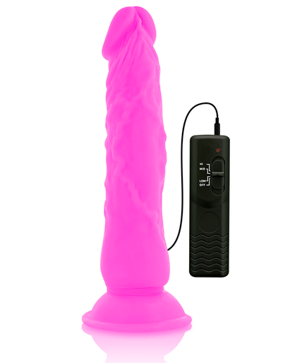 DIVERSIA - FLEXIBLE VIBRATING DILDO PURPLE 21 CM -O- 4.9 CM DIVERSIA - FLEXIBLE VIBRATING DILDO PURPLE 21 CM -O- 4.9 CM