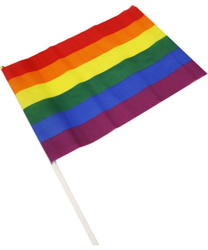 PRIDE - LGBT FLAG MEDIUM PENNANT PRIDE - LGBT FLAG MEDIUM PENNANT