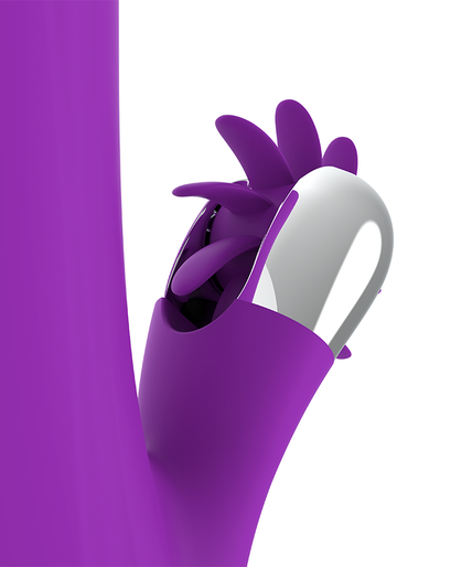 FUN FUNCTION - BUNNY FUNNY ROTATION 2.0 FUN FUNCTION - BUNNY FUNNY ROTATION 2.0