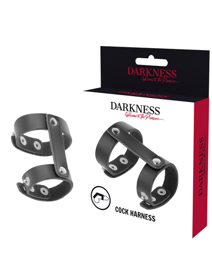 DARKNESS - LEATHER ADJUSTABLE PENIS AND TESTICLE RING DARKNESS - LEATHER ADJUSTABLE PENIS AND TESTICLE RING