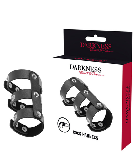 DARKNESS - ADJUSTABLE LEATHER DOUBLE PENIS AND TESTICLE RING DARKNESS - ADJUSTABLE LEATHER DOUBLE PENIS AND TESTICLE RING