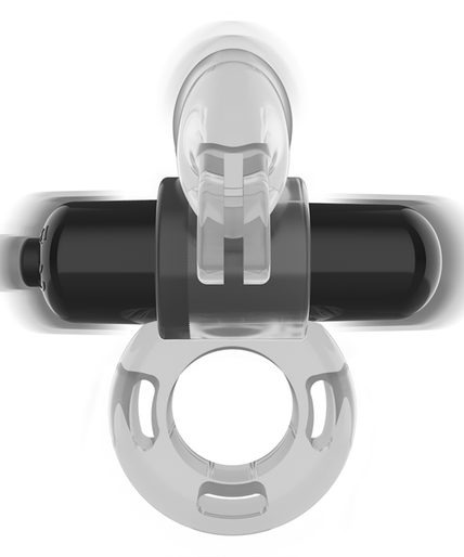INTENSE - FRY TRANSPARENT VIBRATING RING INTENSE - FRY TRANSPARENT VIBRATING RING