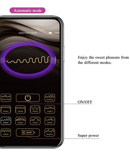 PRETTY LOVE - ELVIRA RECHARGEABLE VIBRATING BALLS PURPLE PRETTY LOVE - ELVIRA RECHARGEABLE VIBRATING BALLS PURPLE