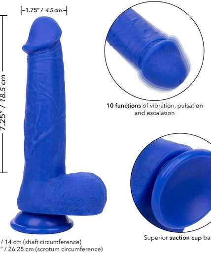 CALEXOTICS - ADMIRAL CAPTAIN REALISTIC DILDO VIBRATOR BLUE CALEXOTICS - ADMIRAL CAPTAIN REALISTIC DILDO VIBRATOR BLUE
