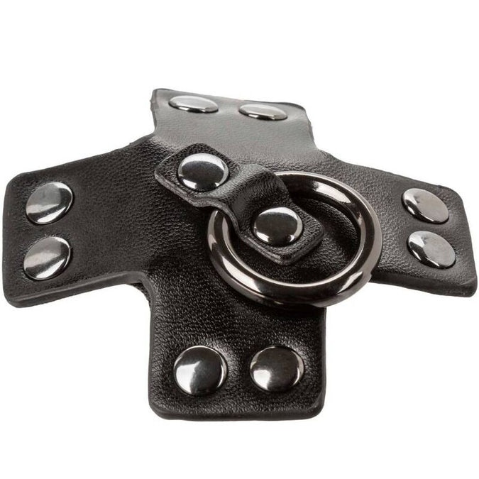 CALEXOTICS - EUPHORIA O-RING ZWART