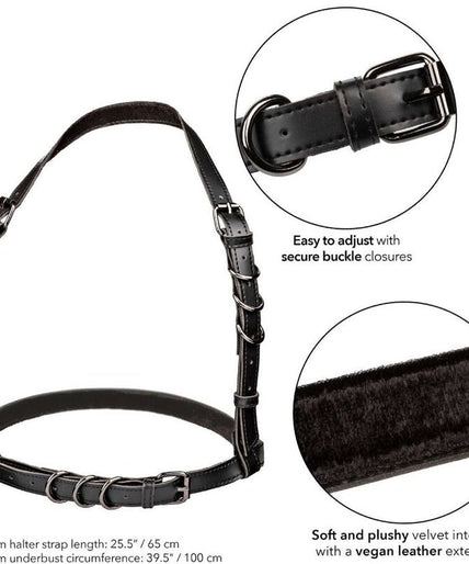 CALEXOTICS - EUPHORIA HALTER BUCKLE HARNESS BLACK CALEXOTICS - EUPHORIA HALTER BUCKLE HARNESS BLACK