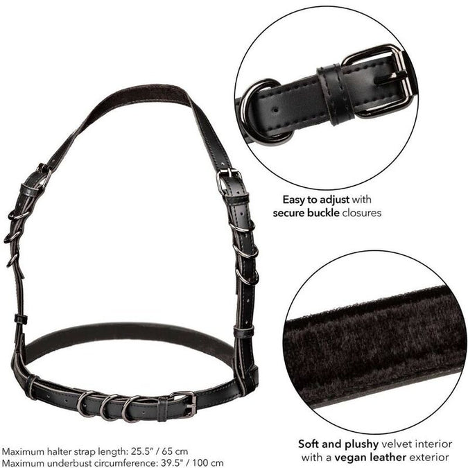CALEXOTICS - EUPHORIA HALTER GESP HARNAS ZWART