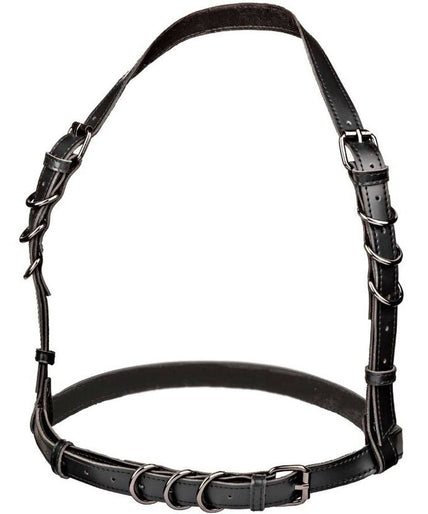 CALEXOTICS - EUPHORIA HALTER BUCKLE HARNESS BLACK CALEXOTICS - EUPHORIA HALTER BUCKLE HARNESS BLACK