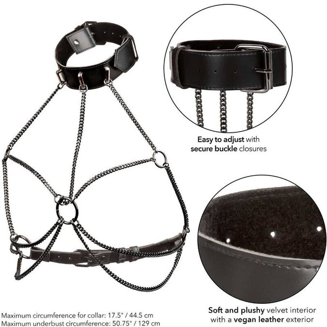 CALEXOTICS - EUPHORIA PLUS SIZE MULTI CHAIN HARNASTOUW