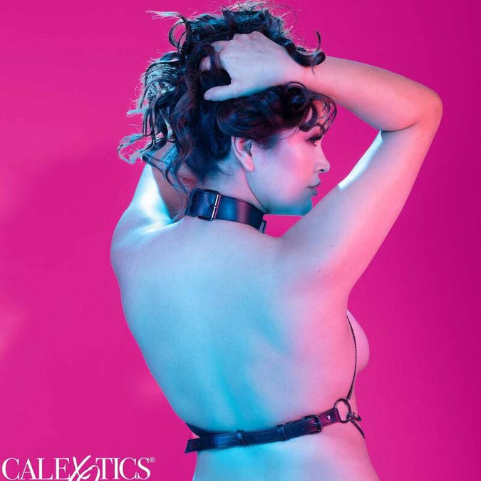 CALEXOTICS - EUPHORIA PLUS SIZE MULTI CHAIN HARNASTOUW