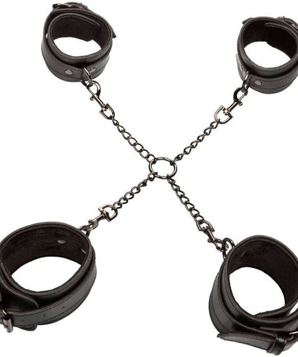 CALEXOTICS - EUPHORIA HOG TIE CALEXOTICS - EUPHORIA HOG TIE