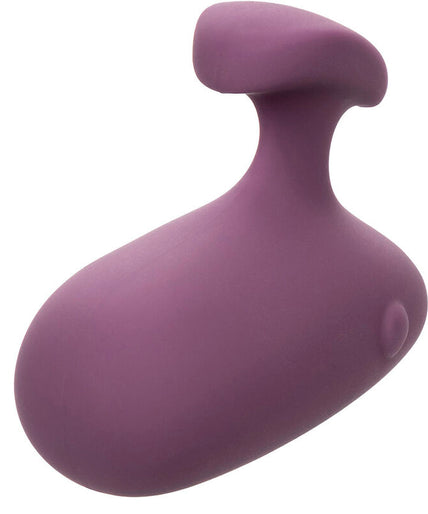 CALEXOTICS - MOD TOUCH STIMULATOR PURPLE CALEXOTICS - MOD TOUCH STIMULATOR PURPLE