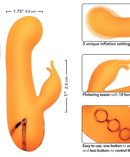 CALEXOTICS - MONTECITO MUSE VIBRATOR RABBIT ORANGE BY CALIFORNIA DREAMING CALEXOTICS - MONTECITO MUSE VIBRATOR RABBIT ORANGE BY CALIFORNIA DREAMING