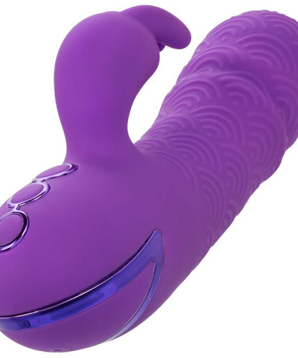 CALEXOTICS - MANHATTAN BEACH MARVEL VIBRATOR RABBIT PURPLE BY CALIFORNIA DREAMING CALEXOTICS - MANHATTAN BEACH MARVEL VIBRATOR RABBIT PURPLE BY CALIFORNIA DREAMING