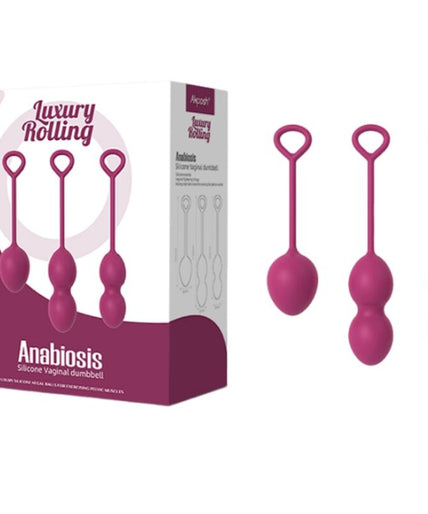 ARMONY - ANABIOSIS VAGINAL DUMBBELL 3 LEVELS BURGUNDY ARMONY - ANABIOSIS VAGINAL DUMBBELL 3 LEVELS BURGUNDY