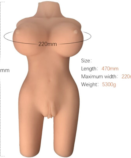 Armony – Realistisches weibliches Torso-Modell 6 Armony – Realistisches weibliches Torso-Modell 6