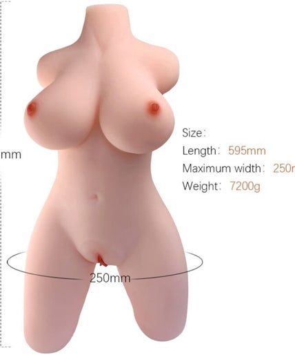 Armony – Realistisches weibliches Torso-Modell 2 Armony – Realistisches weibliches Torso-Modell 2