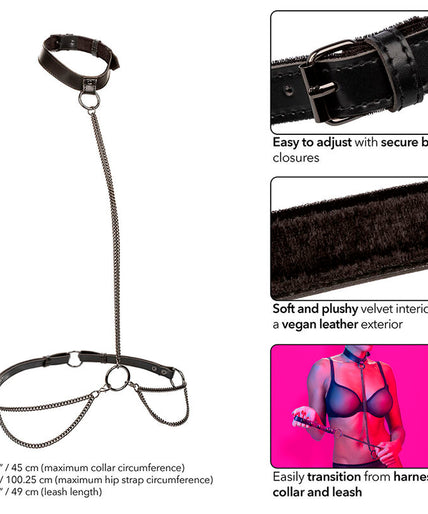 CALEXOTICS - EUPHORIA CHAIN HALTER COLLAR & LEASH CALEXOTICS - EUPHORIA CHAIN HALTER COLLAR & LEASH