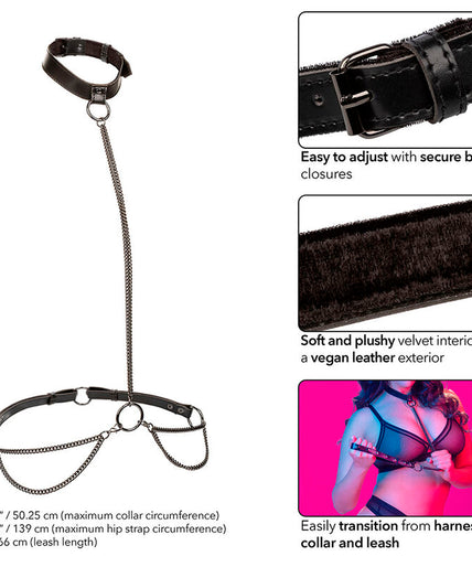 CALEXOTICS - EUPHORIA CHAIN HALTER COLLAR & LEASH PLUS SIZE CALEXOTICS - EUPHORIA CHAIN HALTER COLLAR & LEASH PLUS SIZE