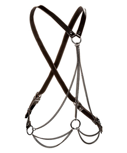 CALEXOTICS - EUPHORIA MULTICHAIN HARNESS PREMIUM PLUS SIZE CALEXOTICS - EUPHORIA MULTICHAIN HARNESS PREMIUM PLUS SIZE