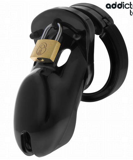 ADDICTED TOYS LOCKED - FORBIDDEN VAULT PENIS CAGE 10 CM ADDICTED TOYS LOCKED - FORBIDDEN VAULT PENIS CAGE 10 CM