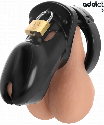 ADDICTED TOYS LOCKED - FORBIDDEN VAULT PENIS CAGE 10 CM ADDICTED TOYS LOCKED - FORBIDDEN VAULT PENIS CAGE 10 CM